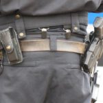 Pony auf Rückbank – Polizei stoppt Frau mit tierischer Ladung